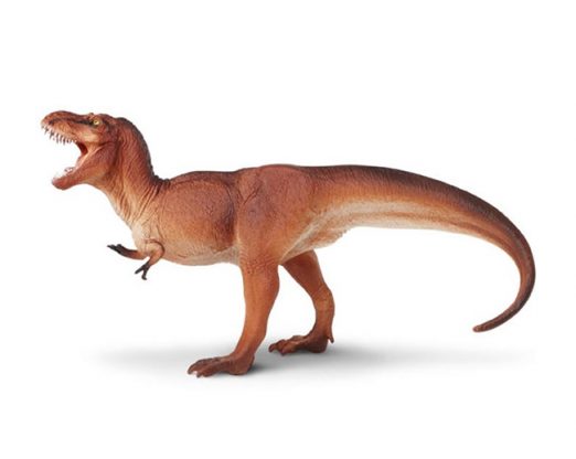 carnegie tyrannosaurus rex