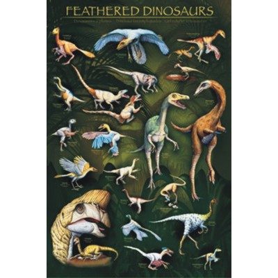 Dinosaur Poster: Feathered Dinosaurs (Black)