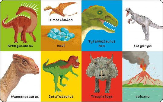 First 100 First 100 Dinosaurs Board book 1