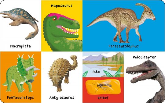 First 100 First 100 Dinosaurs Board book 2